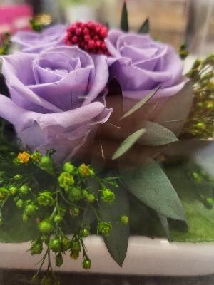 Preserved 3 Lilac Roses Gift