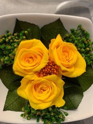 Preserved Yellow Roses