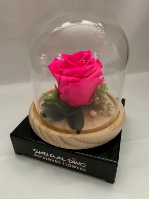 Preserved Cerise Rose in a Glass Dome