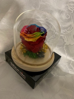 Preserved Multi Coloured Rose in a Glass Dome