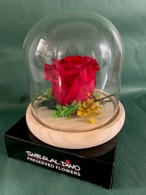 Preserved Red Rose in a Glass Dome