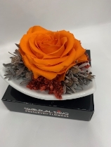 Preserved Large Orange Rose in a Triangular Ceramic Dish