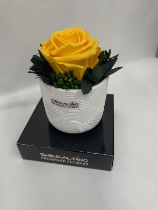 Yellow Preserved Rose in Stone Effect Pot
