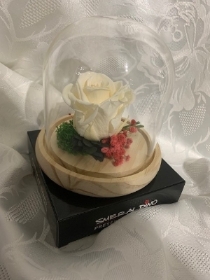 Preserved White Rose in Glass Dome